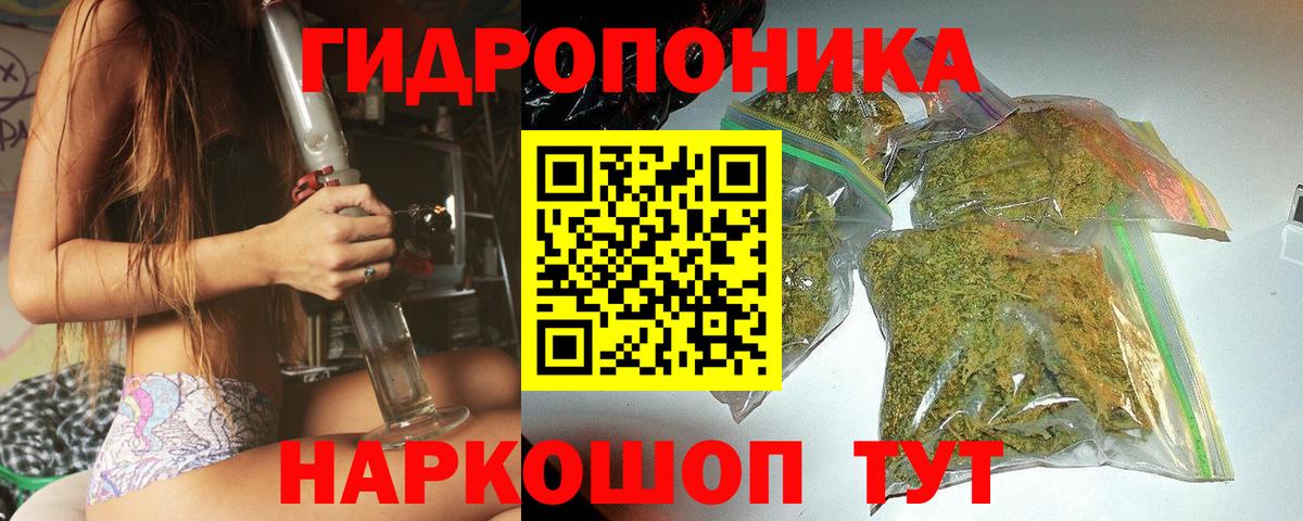 Бошки марихуана сатива Мурино
